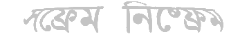 Version Selector